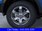 2026 Ford Ranger XLT In-Transit