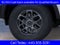 2026 Ford Ranger XLT In-Transit