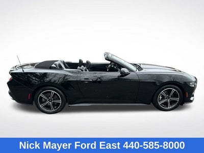 2025 Ford Mustang EcoBoost Premium