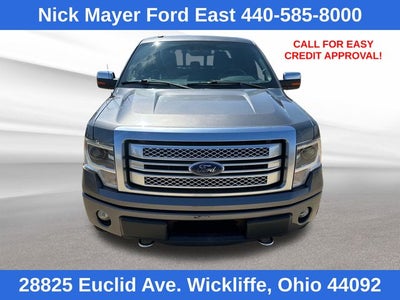 2013 Ford F-150 Platinum