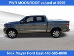 2013 Ford F-150 Platinum
