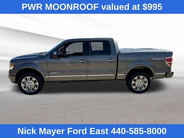 2013 Ford F-150 Platinum
