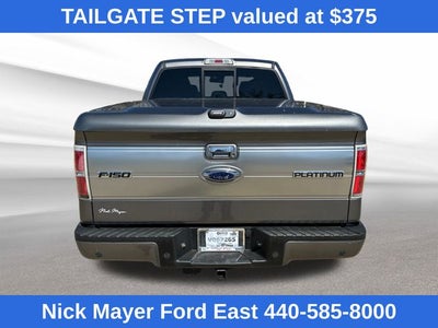 2013 Ford F-150 Platinum