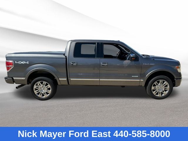 2013 Ford F-150 Platinum