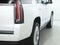 2020 Cadillac Escalade Platinum Edition